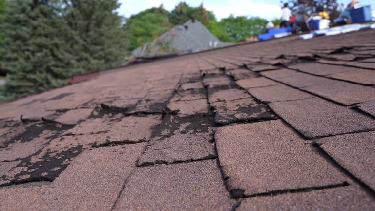 Best Roof Leak Repair  in Pagosa Springs, CO