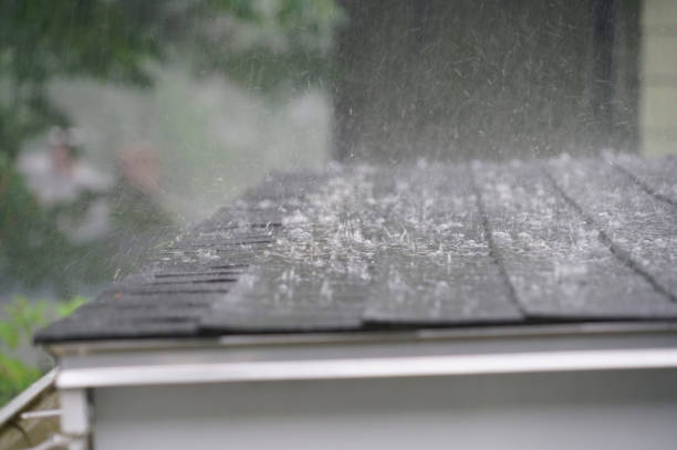 Best Gutter Installation and Repair  in Pagosa Springs, CO