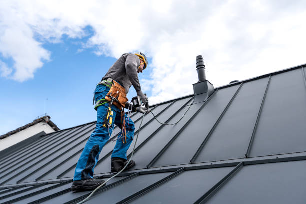 Best Roof Coating and Sealing  in Pagosa Springs, CO